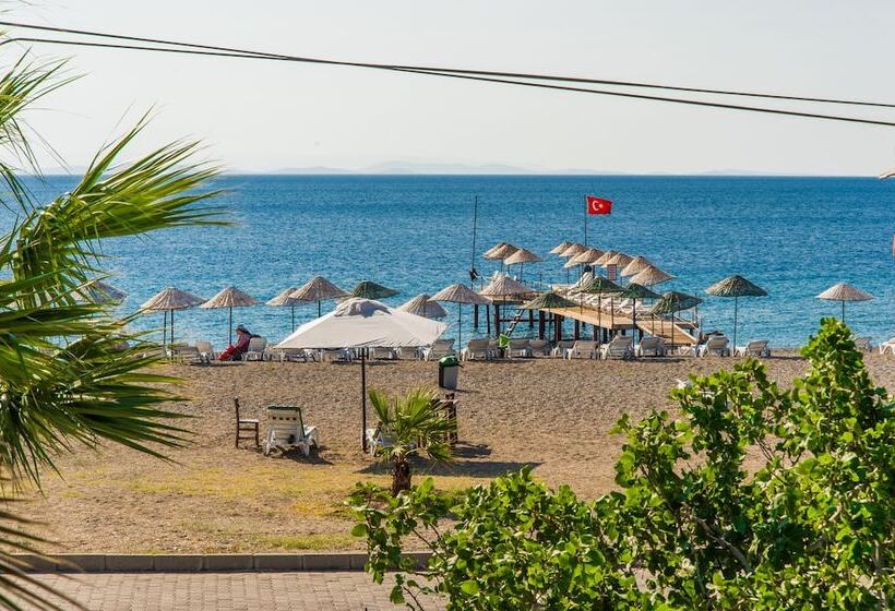 Hotel Assos Eden Beach   All Inclusive