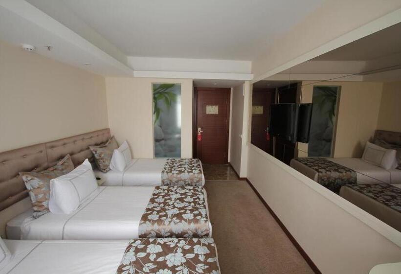 Fotos del hotel Grand Washington:  13