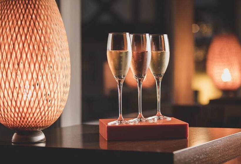 هتل & Spa Regent Petite France