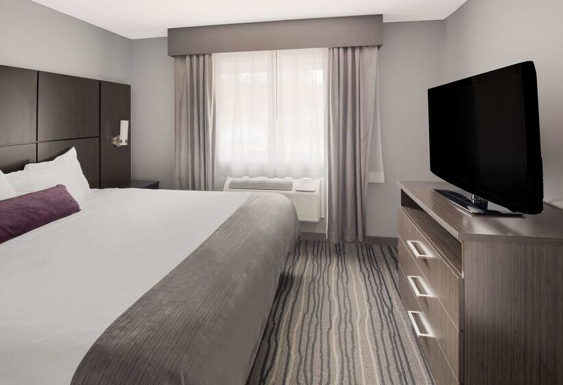 酒店 Best Western Riverside Inn