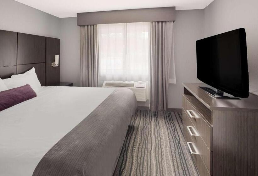酒店 Best Western Riverside Inn