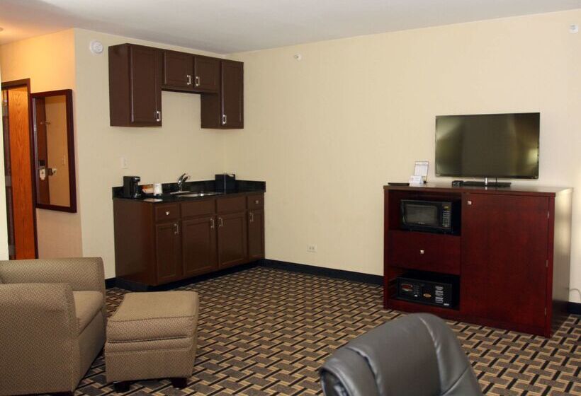 酒店 Americinn By Wyndham Woodstock Il