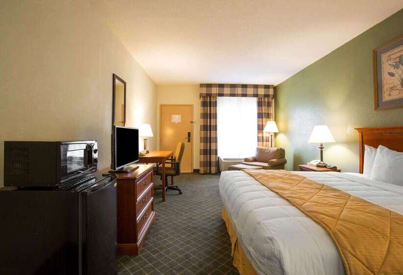 Hotel Clarion Inn & Suites Aiken South