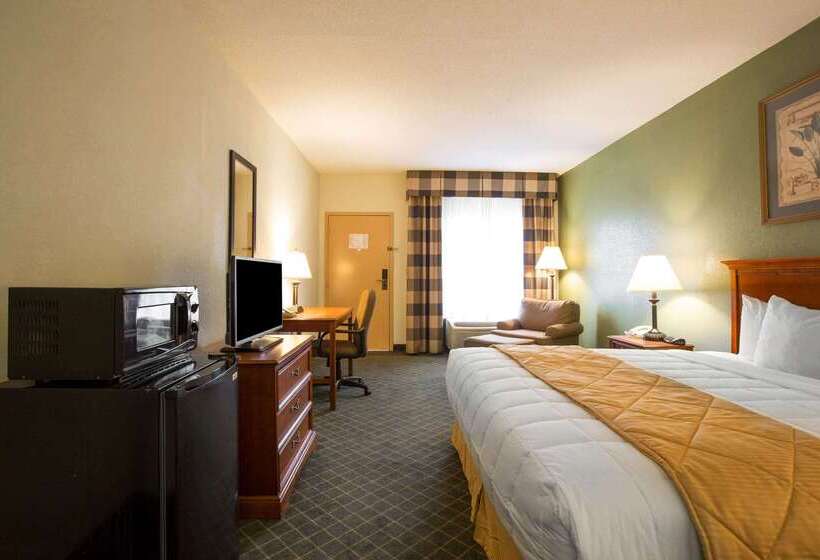 Hotel Clarion Inn & Suites