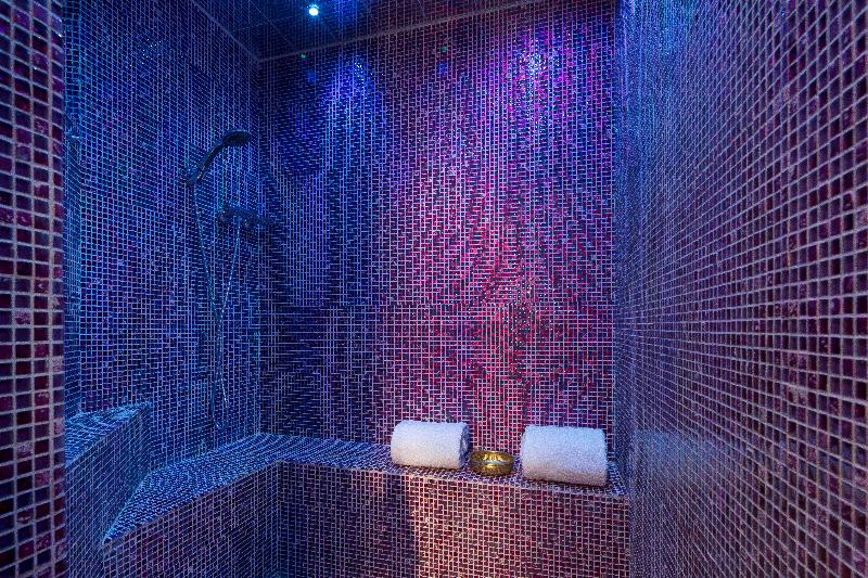 Fotos del hotel Hôtel & Spa De Latour Maubourg:  8