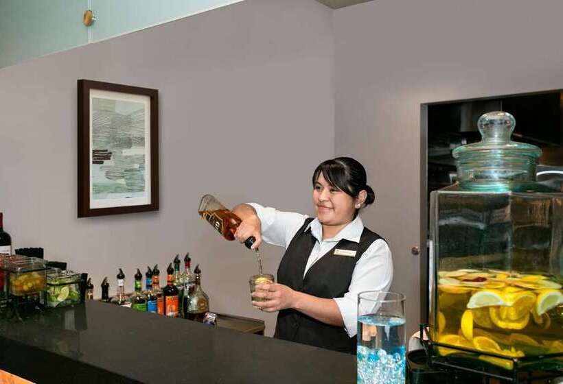 هتل Embassy Suites By Hilton Chicago Downtown River North