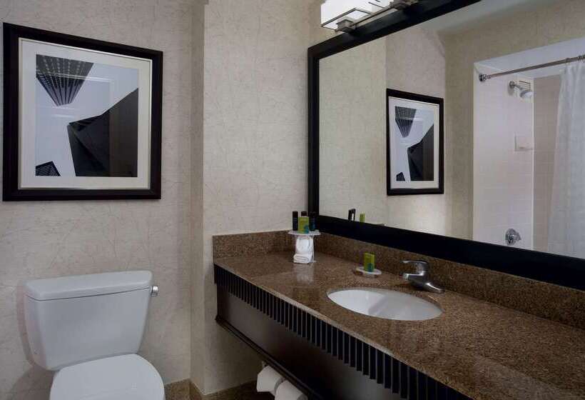 هتل Embassy Suites By Hilton Chicago Downtown River North