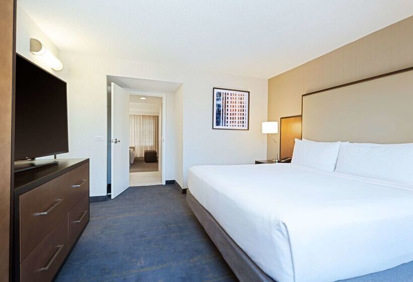 هتل Embassy Suites By Hilton Chicago Downtown River North