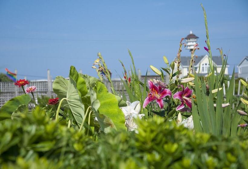 فندق The First Colony Inn