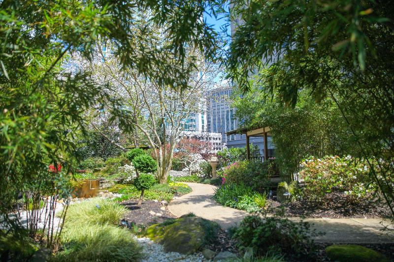 هتل Grand Hyatt Atlanta In Buckhead