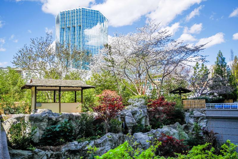 هتل Grand Hyatt Atlanta In Buckhead