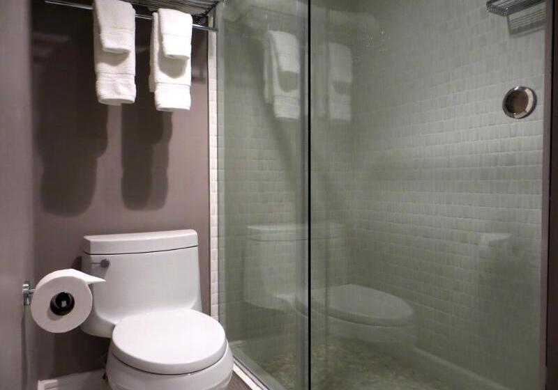 Fotos del hotel Oasis At Gold Spike  Adults Only:  6