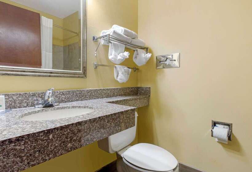 酒店 Quality Inn Williamston