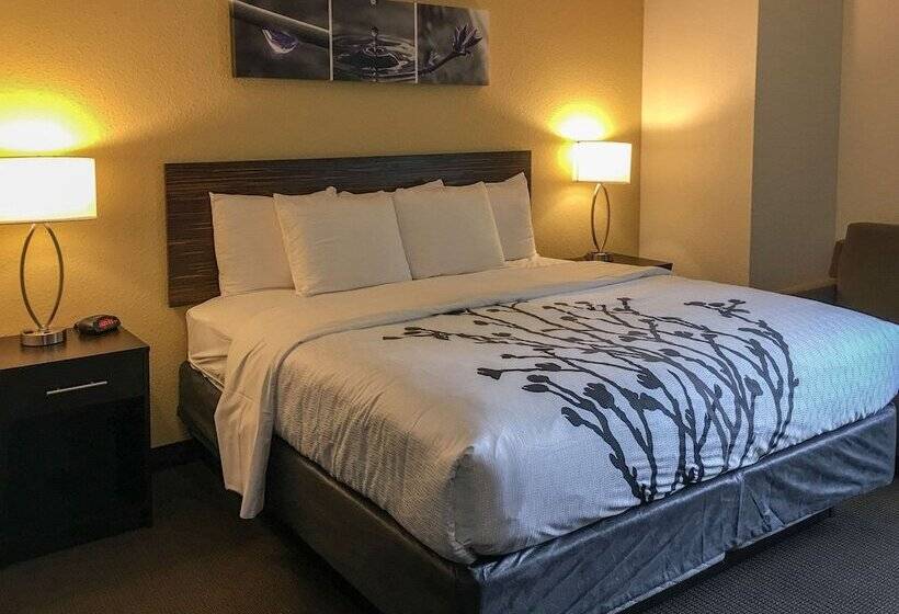 فندق Sleep Inn Florence North