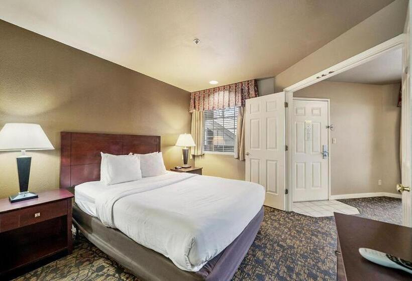 Otel The 505 Collection
