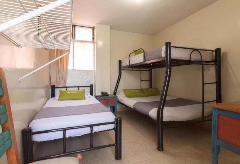 هتل Ayenda 1248 Conquistadores