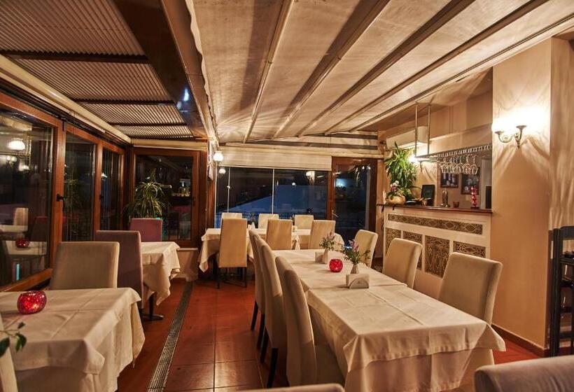 Fotos del hotel Celal Sultan Hotel Special Class:  25