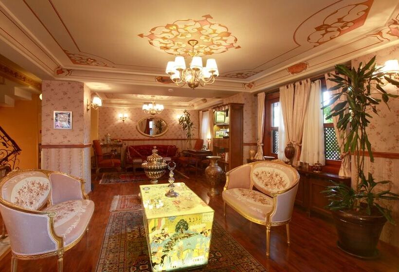 Fotos del hotel Dersaadet Hotel Istanbul:  21