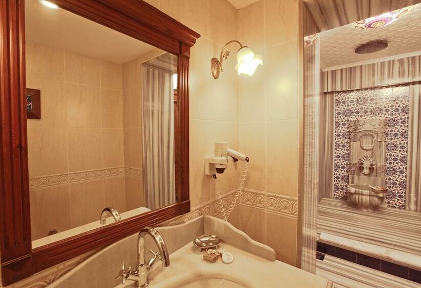 Fotos del hotel Dersaadet Hotel Istanbul:  20