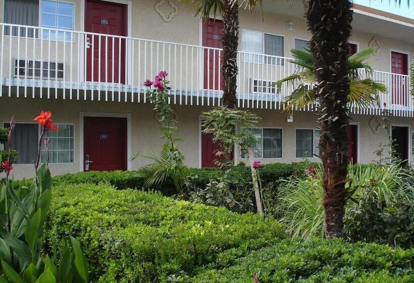 فندق Dream Inn
