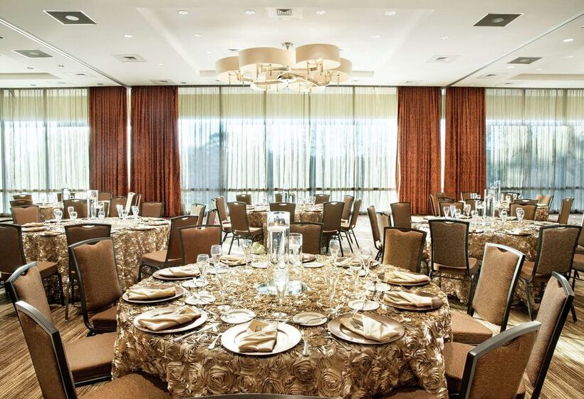 Fotos del hotel Hilton University Of Houston:  33