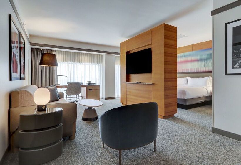 Fotos del hotel Hilton University Of Houston:  12