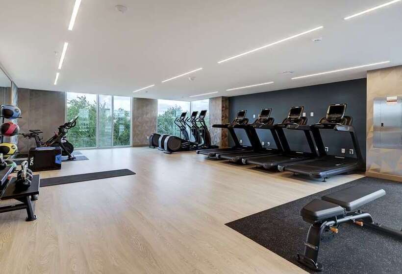 Hilton University Of Houston