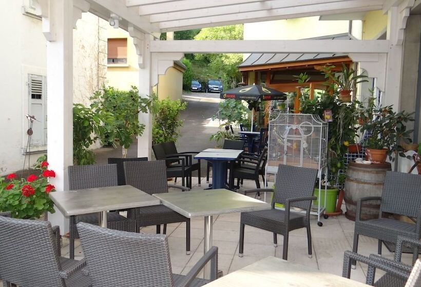 هتل Logis Hôtel   Restaurant Aux Bruyères