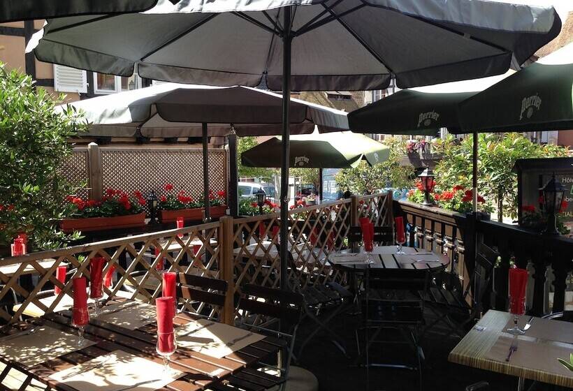 酒店 Hôtel Restaurant Le Brochet