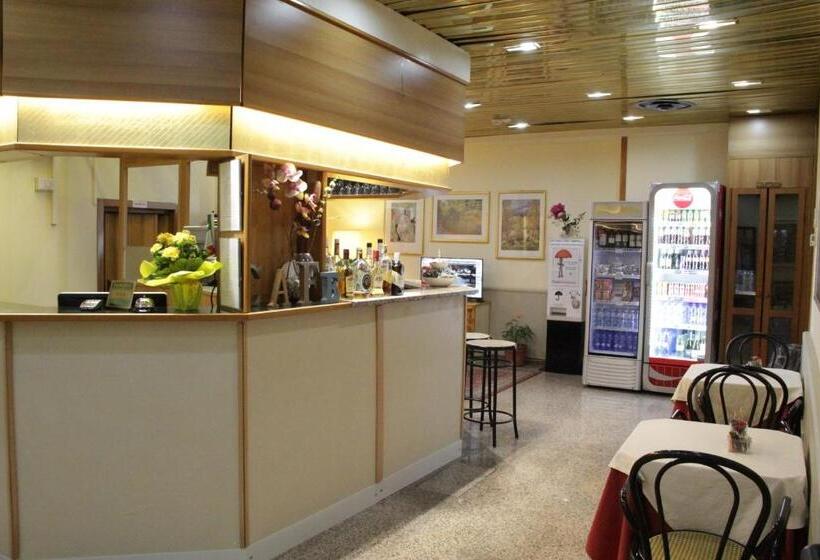 Fotos del hotel Lugano:  28