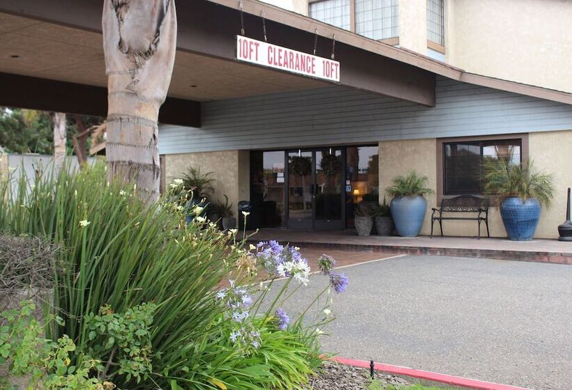 ホテル O'cairns Inn And Suites