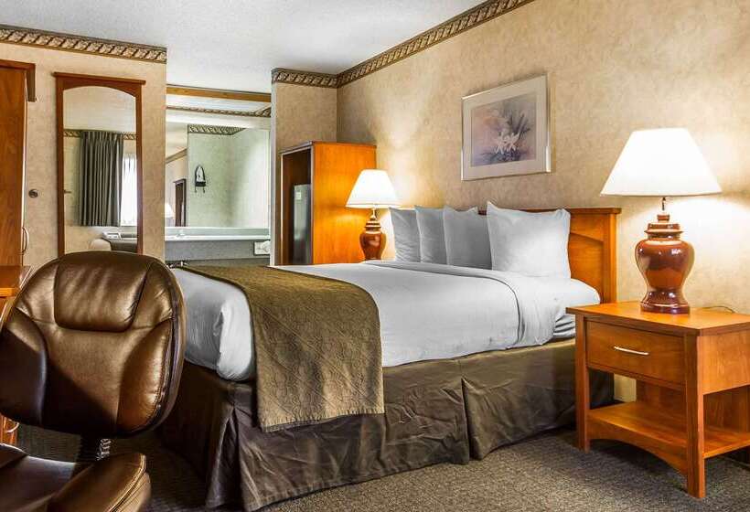 酒店 Quality Inn & Suites Silicon Valley