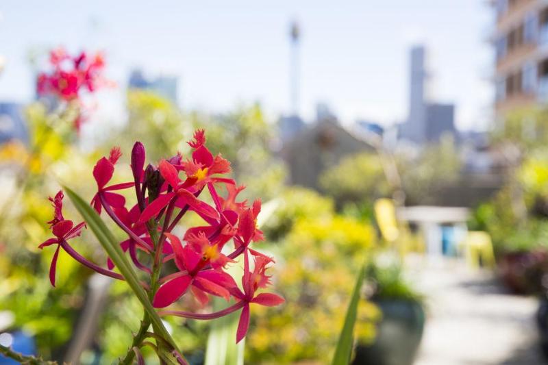 Fotos del hotel Regents Court Sydney:  11