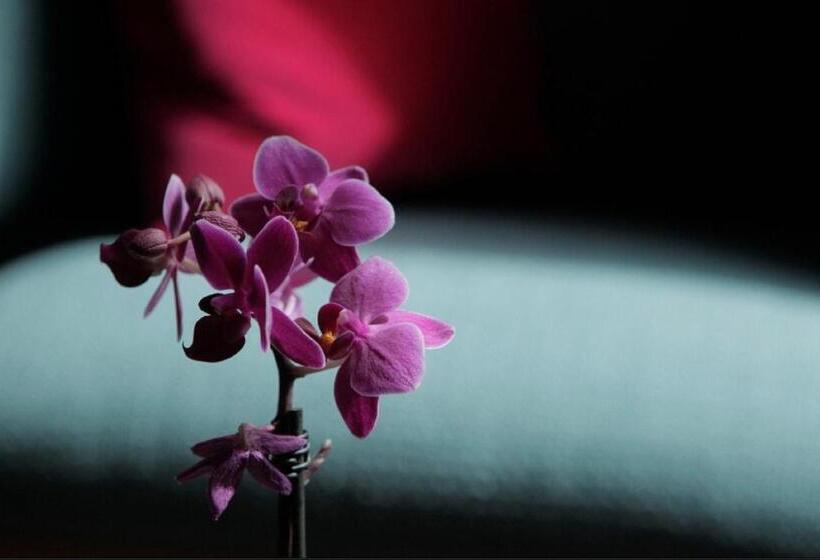 Fotos del hotel Signature Townhouse London Hyde Park:  38