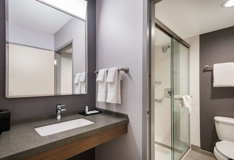 هتل Sonesta Select San Jose Airport
