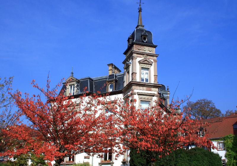 هتل Hôtel Château De L Ile