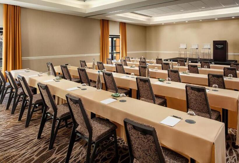 هتل The Westin Lake Las Vegas Resort & Spa