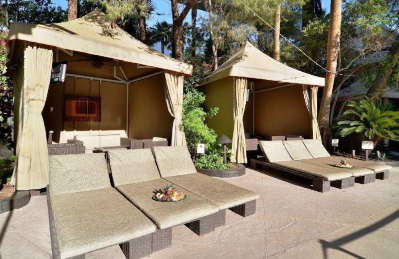 Fotos del hotel Ti - Treasure Island Hotel & Casino:  10