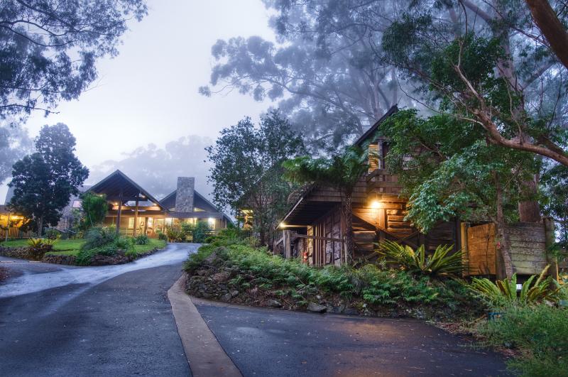 酒店 Binna Burra Sky Lodges