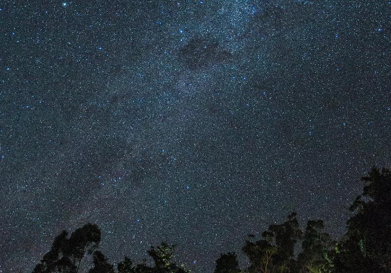 בית מלון כפרי Binna Burra Sky Lodges