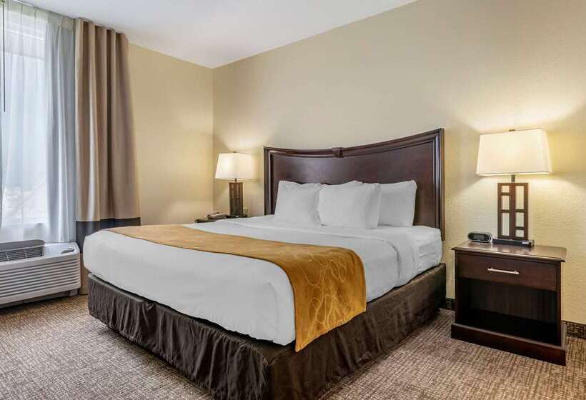 Hotel Comfort Suites Maingate East Kissimmee