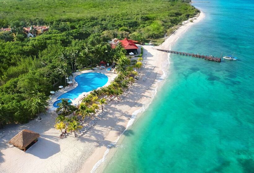 Hotel Occidental Cozumel  All Inclusive Resort