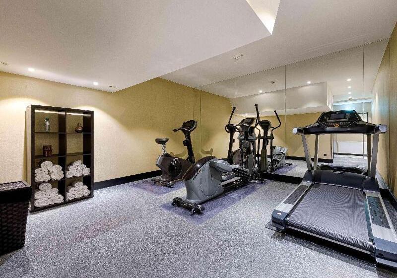 Fotos del hotel Mercure Hotel Raphael Wien:  19