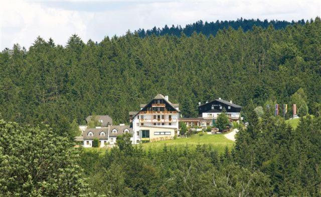 호텔 Schwarz Alm Zwettl