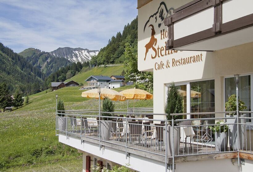 هتل Steinbock