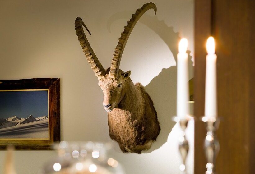 هتل Steinbock