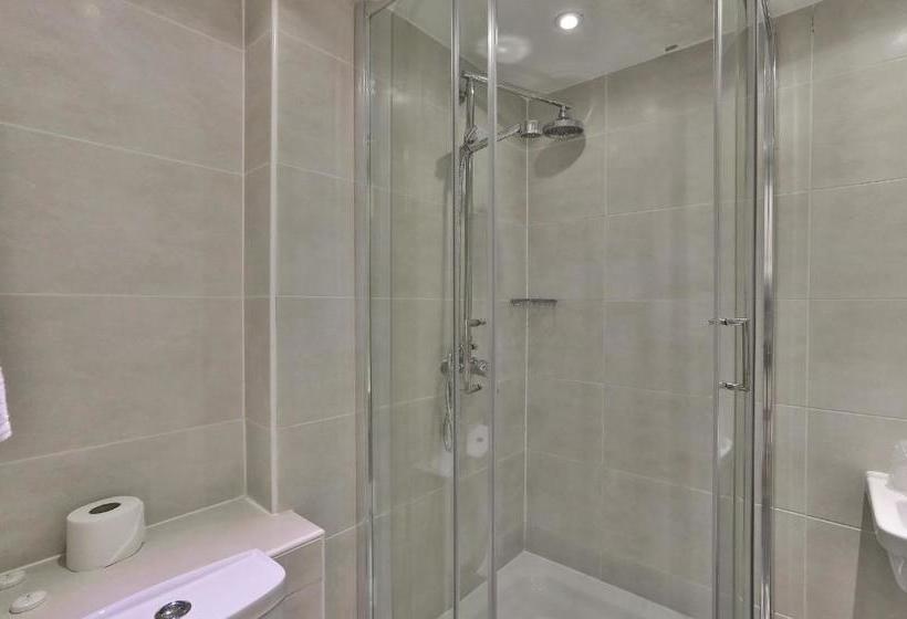 Fotos del hotel Ambassadors:  10