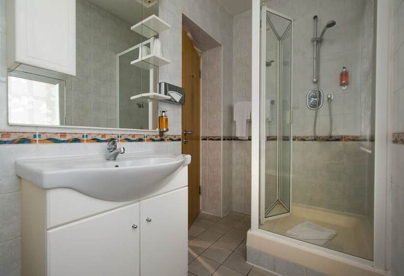 Fotos del hotel Best Western Buckingham Palace Rd:  39