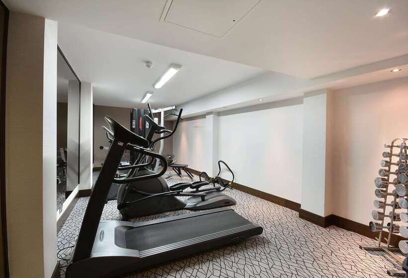 Fotos del hotel Park Grand London Kensington:  4