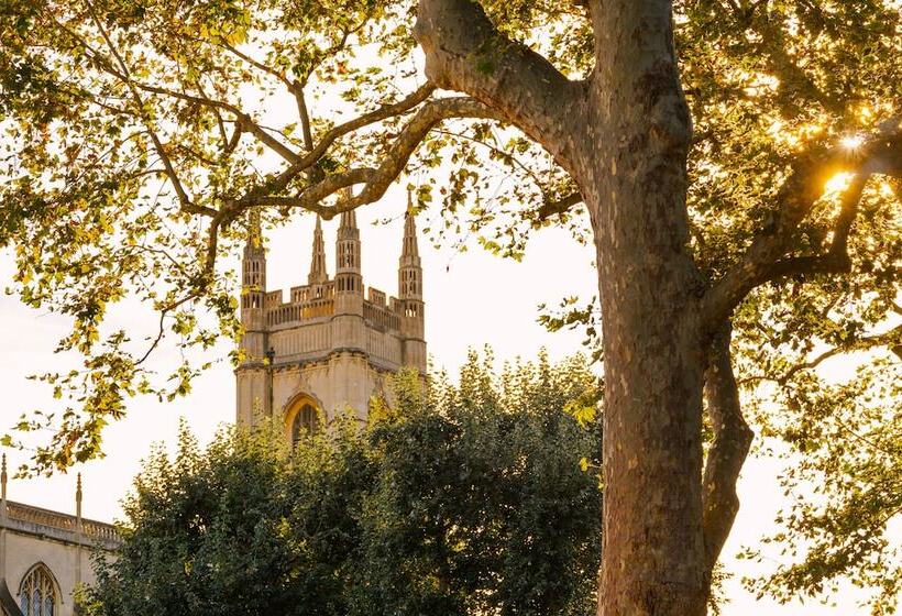 Fotos del hotel Sonder Chelsea Green:  2